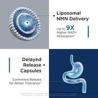 CELLVORA® NMN Premium Complex